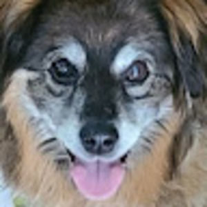 Meet your Posher, Zack